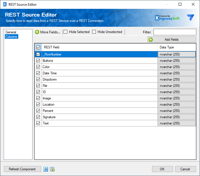 SSIS Google AppSheet Source Component - Columns